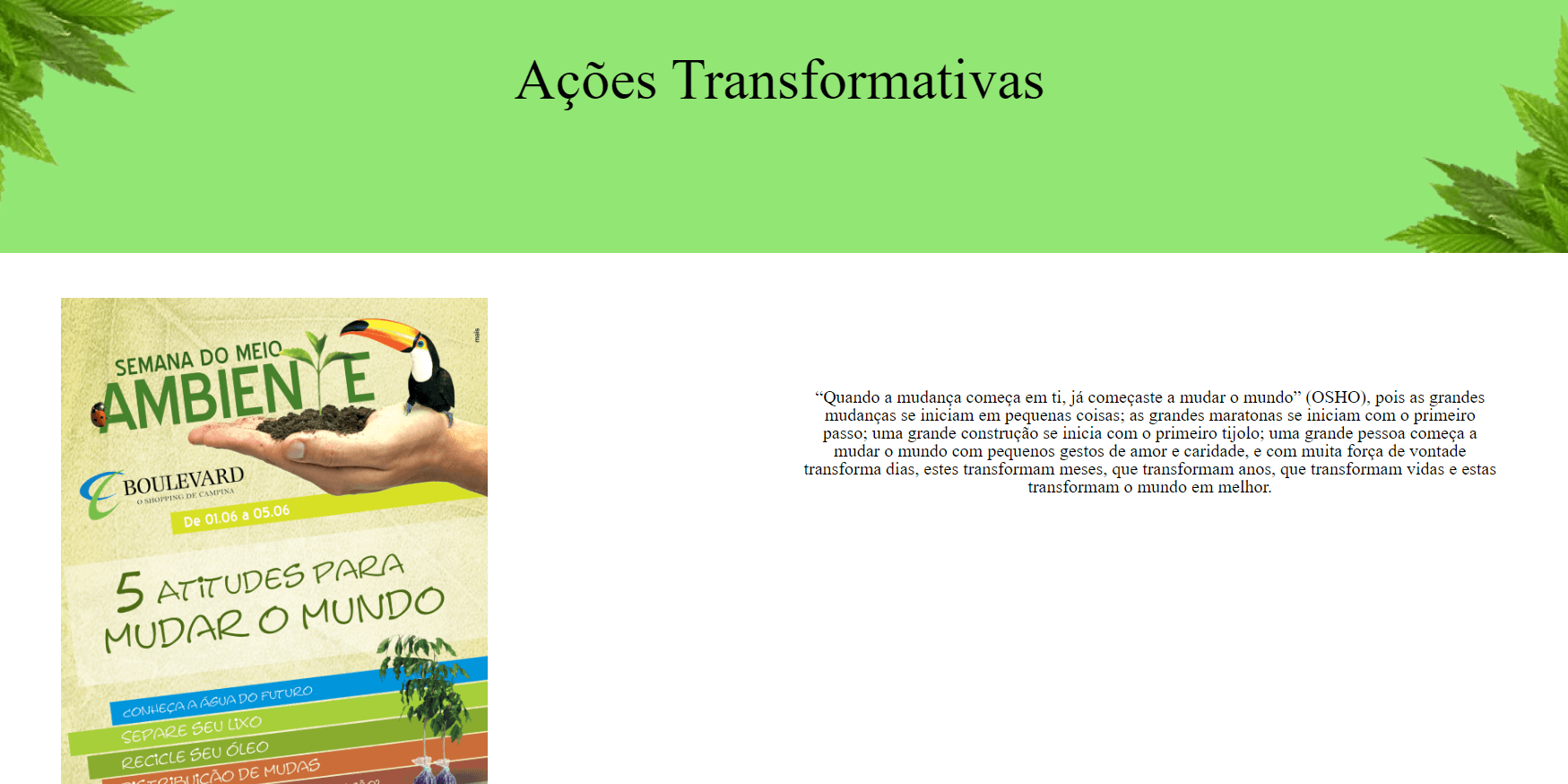 Ações Transformativas